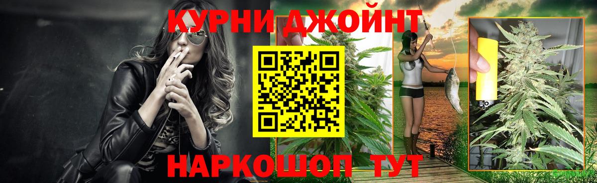 Бошки Шишки конопля  Шишки марихуана сатива  Якутск  МАРИХУАНА планчик  Вход с VPN 